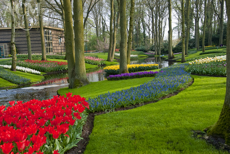 Keukenhof Gardens