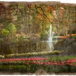 Keukenhof Gardens Forgotten Postcard