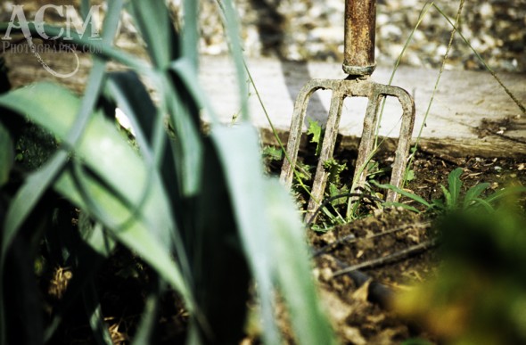 Garden Fork