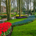 Keukenhof Garden Stream
