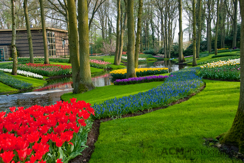 Keukenhof Gardens 2009 Photo Gallery | ACM Photography