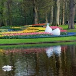 Keukenhof Gardens Panorama