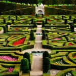 The Love Garden