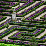 Chateau Villandry Kitchen Garden