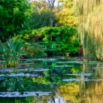 Monet's Garden at Giverny