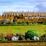 The Palace of Versailles