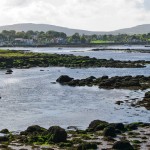 View from Dunguaire Castle