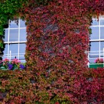 Windows, Dublin, Ireland