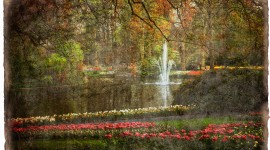 Keukenhof Gardens Forgotten Postcard