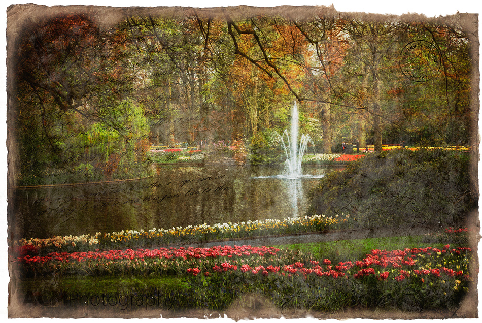 Keukenhof Gardens Forgotten Postcard