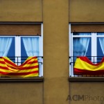 Festival Day Windows