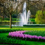 Keukenhof Tulip Gardens, Lisse, The Netherlands