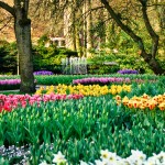 Keukenhof Tulip Gardens, Lisse, The Netherlands