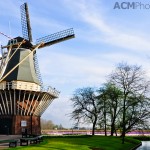 The Keukenhof Windmill