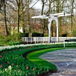 Little Dutch drawbridge