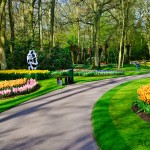 Keukenhof Tulip Gardens, Lisse, The Netherlands