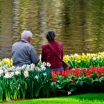 Senior Couple at Keukenhof Gardens