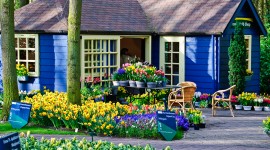 Keukenhof Tulip Gardens 2010