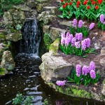Keukenhof Tulip Gardens, Lisse, The Netherlands