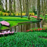 Keukenhof Tulip Gardens, Lisse, The Netherlands