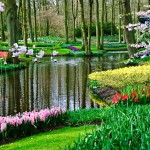 Keukenhof Tulip Gardens, Lisse, The Netherlands