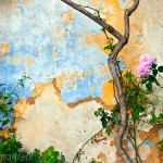 Beautiful Wall in Athens, Greece