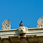 Detail of the Agora roof